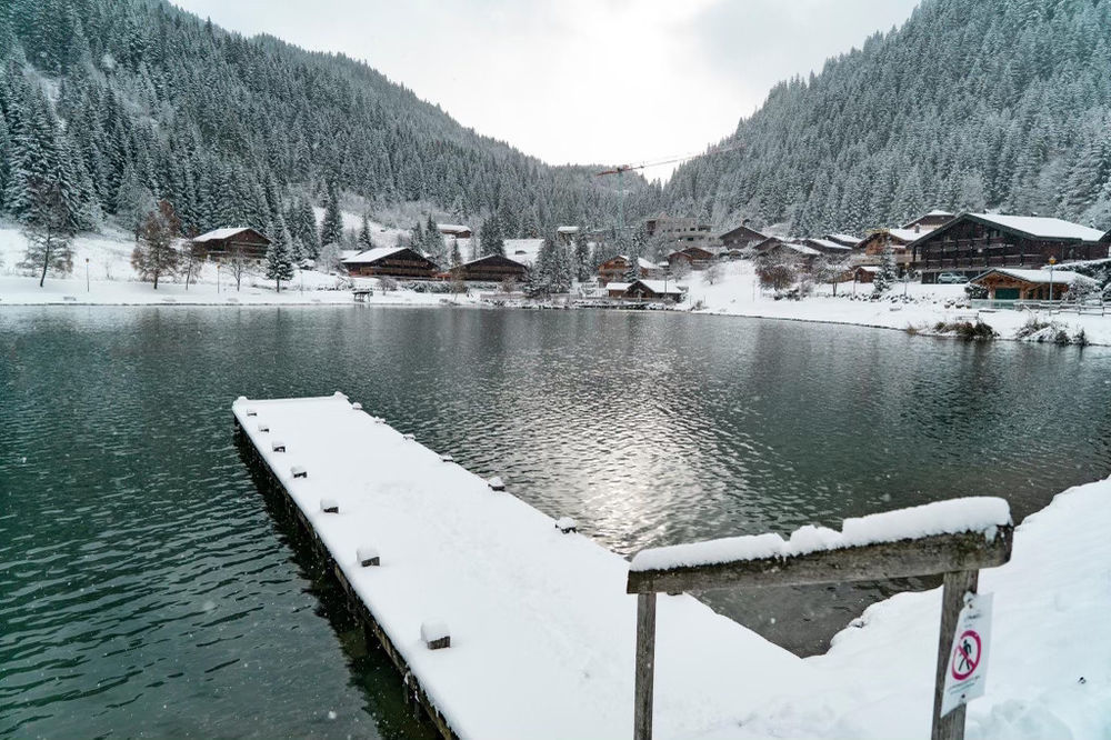 � vendre  Chalet Ch�tel (74390)