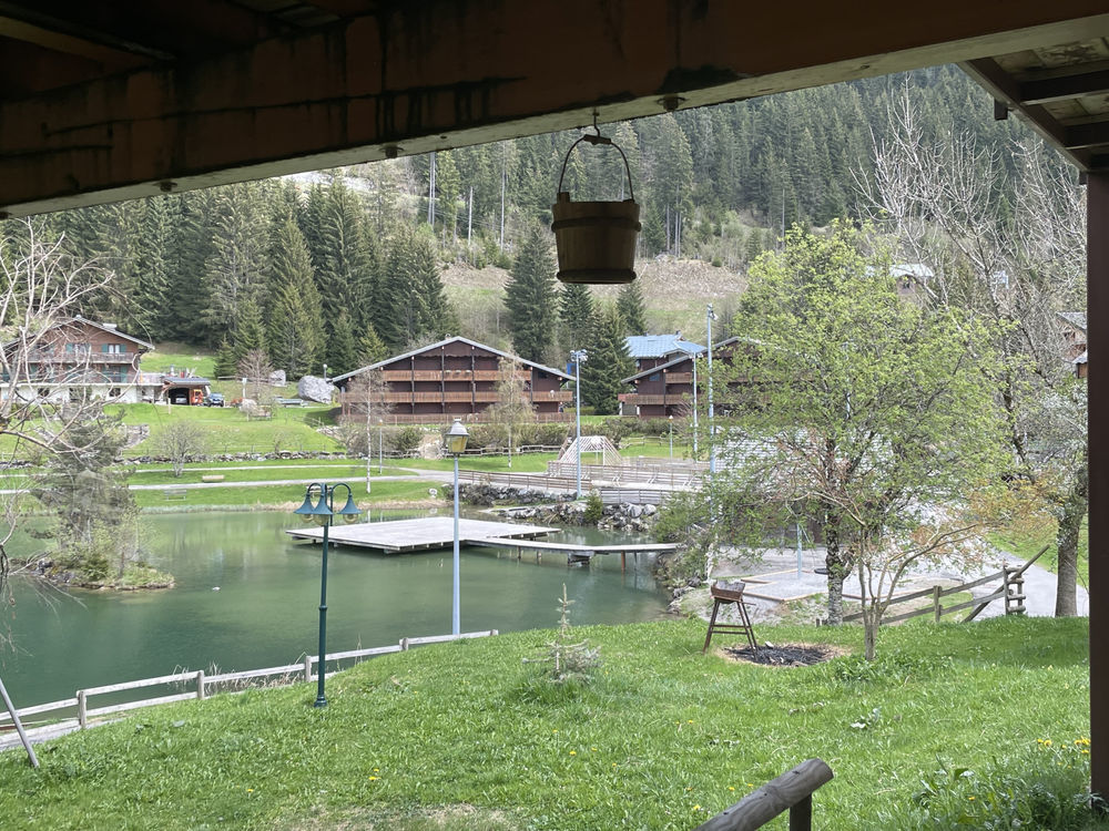 � vendre  Chalet Ch�tel (74390)