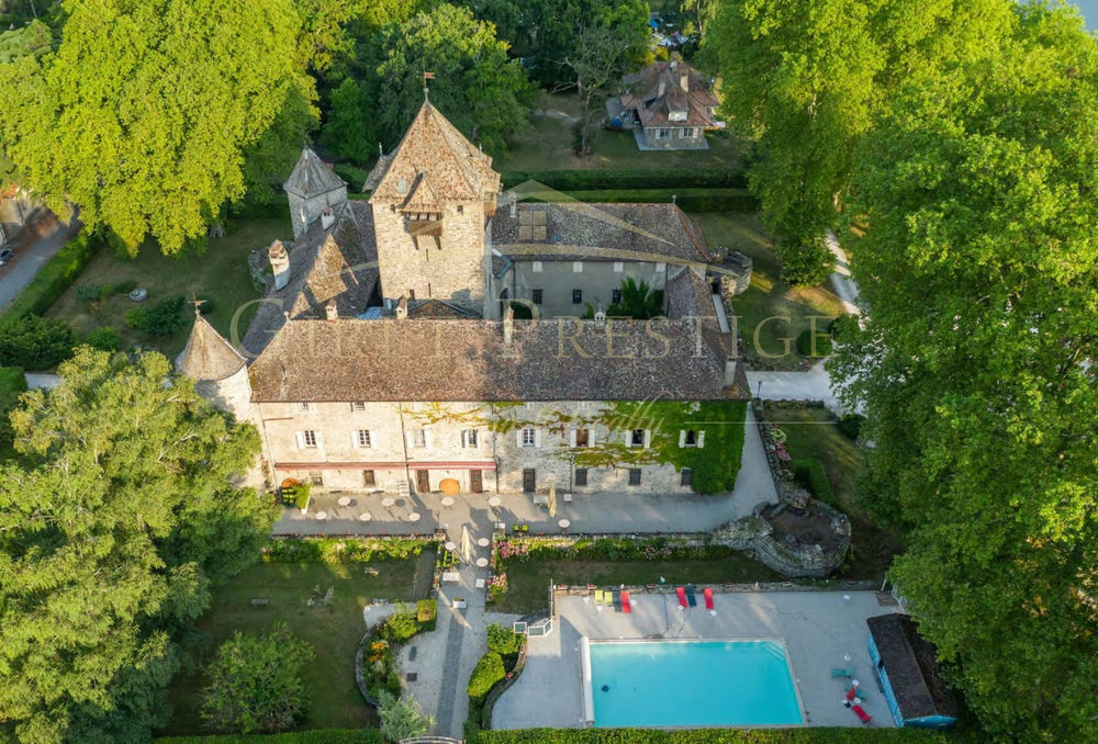 � vendre  Propri�t�/ch�teau Sciez (74140)