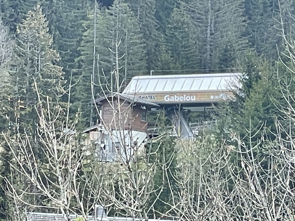 � vendre  Chalet Ch�tel (74390)