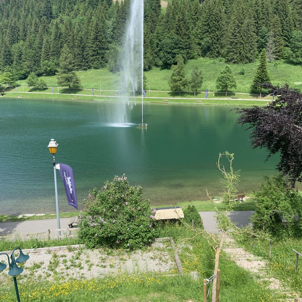 � vendre  Chalet Ch�tel (74390)