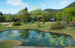  Propri�t�/ch�teau � vendre 15 + pi�ces 260 m�