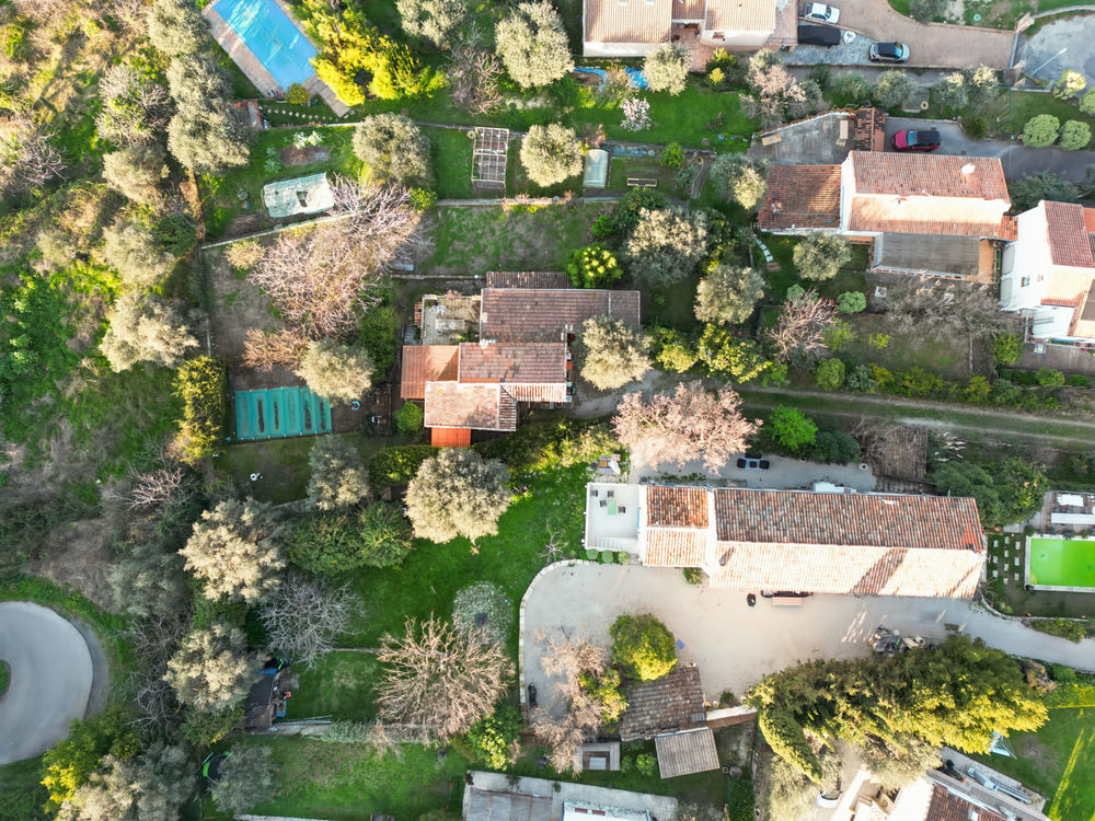 � vendre  Maison Falicon (06950)