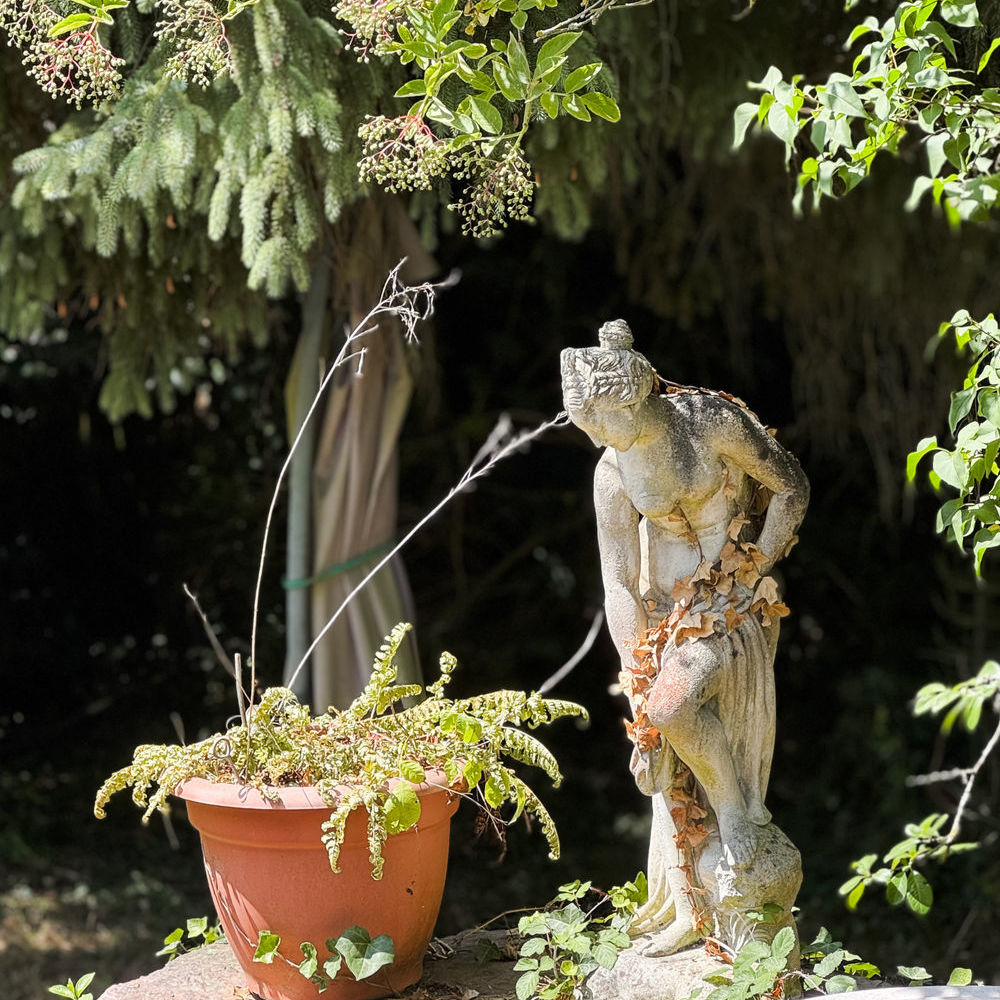 � vendre  Maison Saint-Gr�goire (35760)