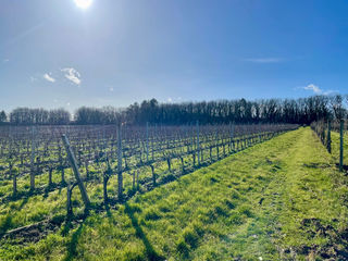  Terrain � vendre 41229 m�