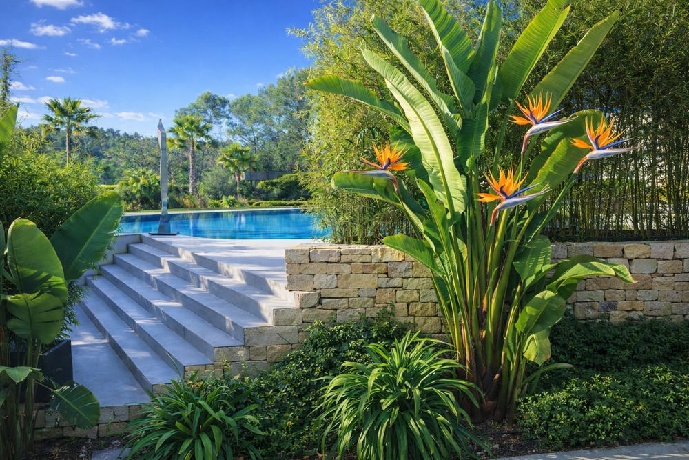 � vendre  Maison Mougins (06250)