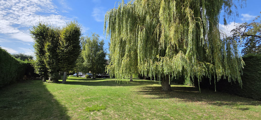 � vendre  Maison Bauvin (59221)