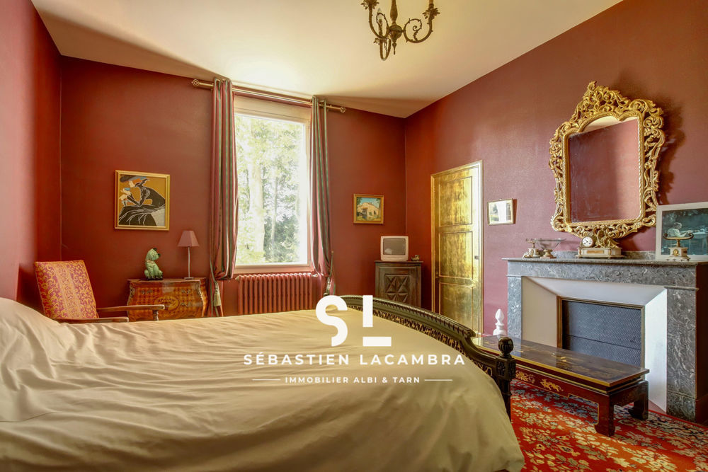 � vendre  Propri�t�/ch�teau Rivi�res (81600)