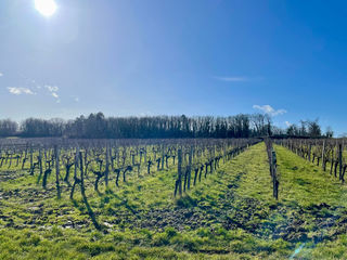  Terrain � vendre 41229 m�