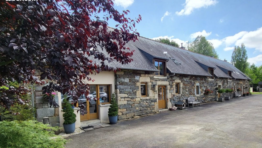 � vendre  Propri�t�/ch�teau Cl�gu�rec (56480)