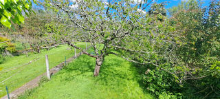  Appartement � vendre 4 pi�ces 122 m�