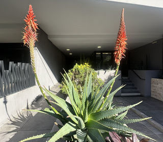  Appartement � vendre 1 pi�ce 31 m�