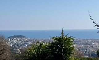  Terrain � vendre 2440 m�