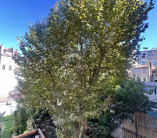  Appartement � vendre 1 pi�ce 24 m�