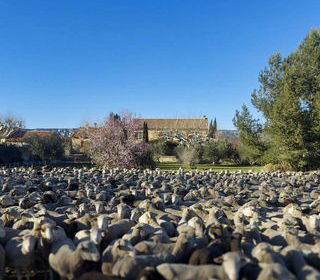  Maison � vendre 7 pi�ces 250 m�