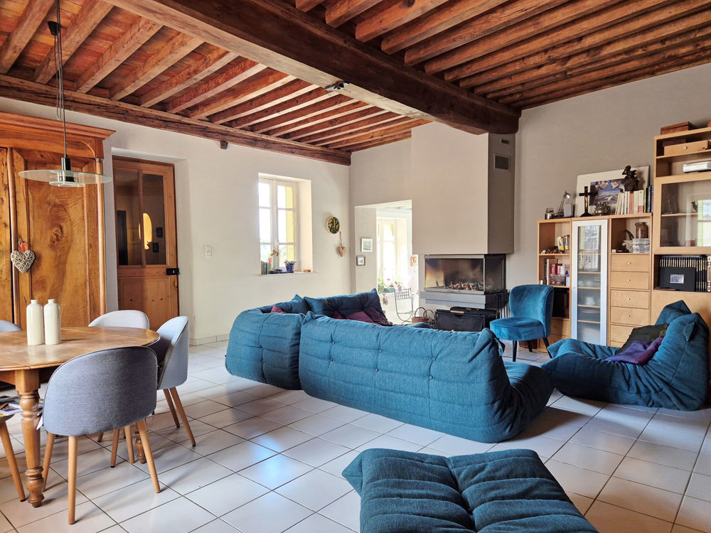 � vendre  Propri�t�/ch�teau Tramoyes (01390)