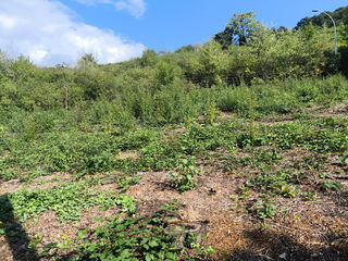  Terrain � vendre 801 m�