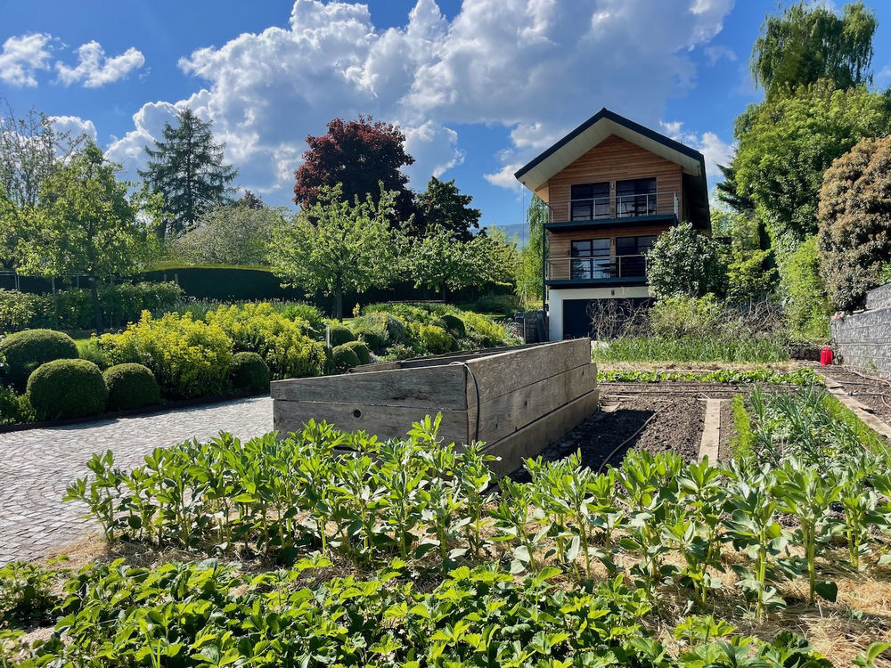 � vendre  Maison Divonne-les-Bains (01220)