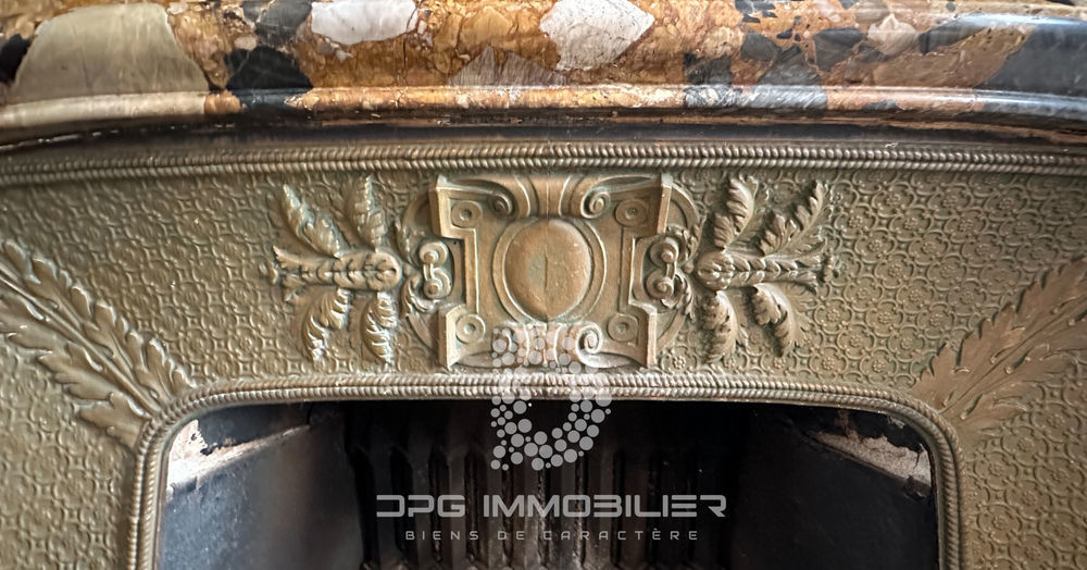 � vendre  Propri�t�/ch�teau La Roche-Vineuse (71960)