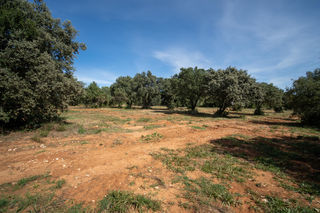  Terrain � vendre 321 m�