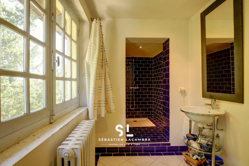 � vendre  Propri�t�/ch�teau Rivi�res (81600)