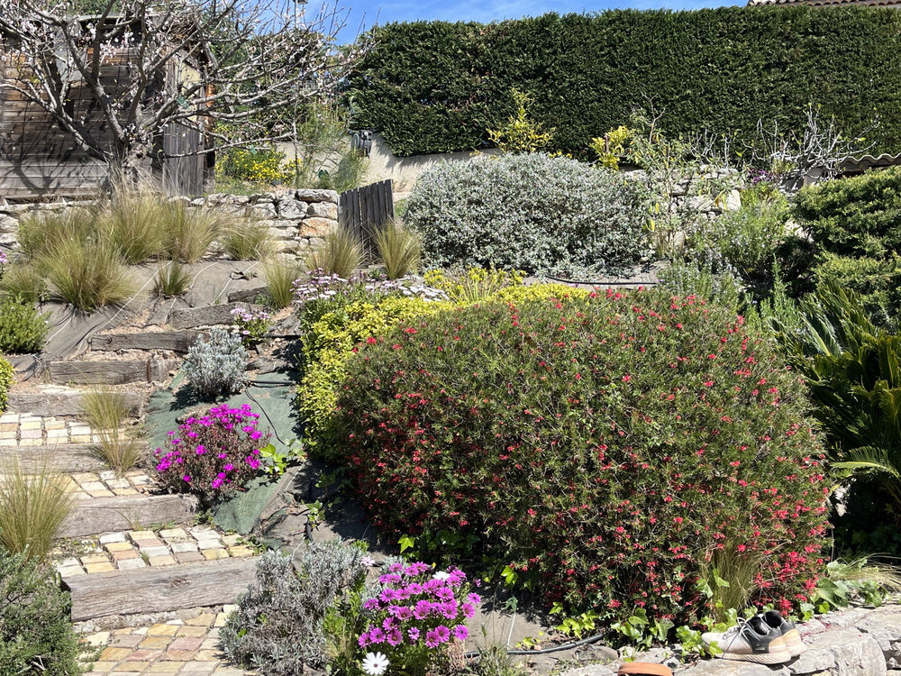 � vendre  Maison Fr�jus (83600)