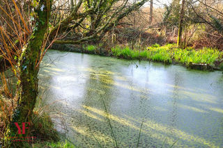  Maison � vendre 10 pi�ces 375 m�