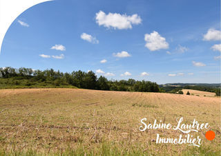  Terrain � vendre 307637 m�