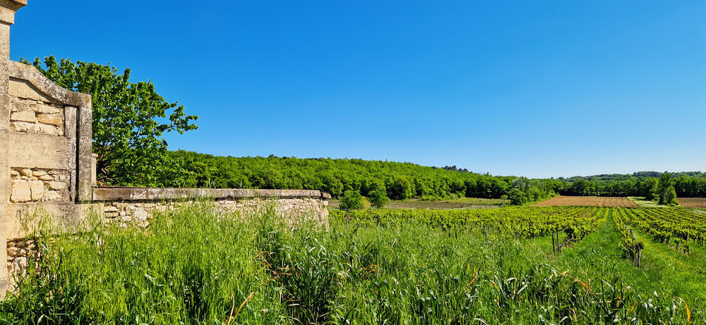 � vendre  Maison Uz�s (30700)