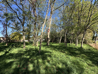  Terrain � vendre 854 m�