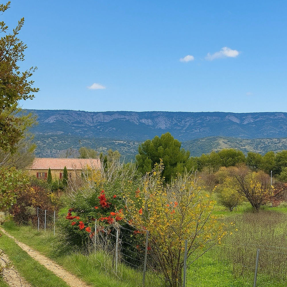 � vendre  Maison Eygui�res (13430)