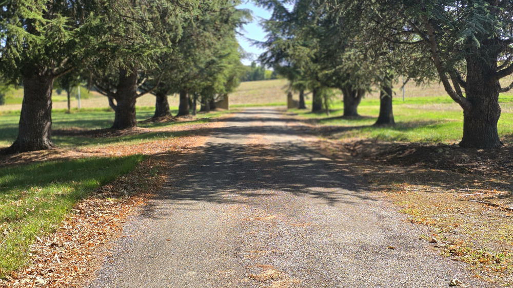 � vendre  Propri�t�/ch�teau Montr�al (32250)