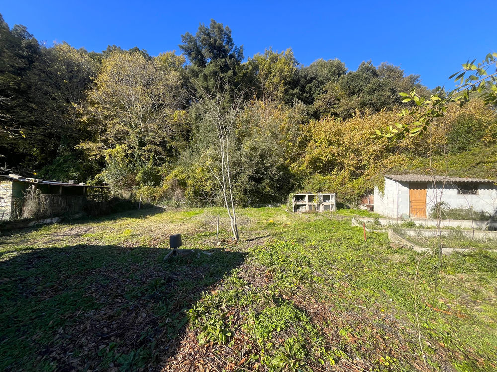 � vendre  Maison La Colle-sur-Loup (06480)