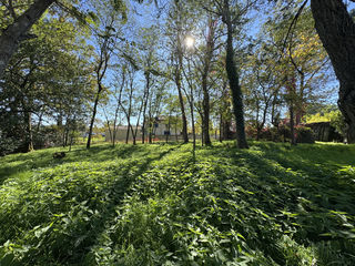  Terrain � vendre 854 m�