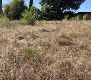  Terrain � vendre 945 m�