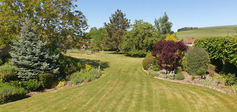   GRANDE MAISON AVEC GITE ET BEAU TERRAIN Propri�t�/ch�teau - 15 + pi�ce(s) - 454 m�