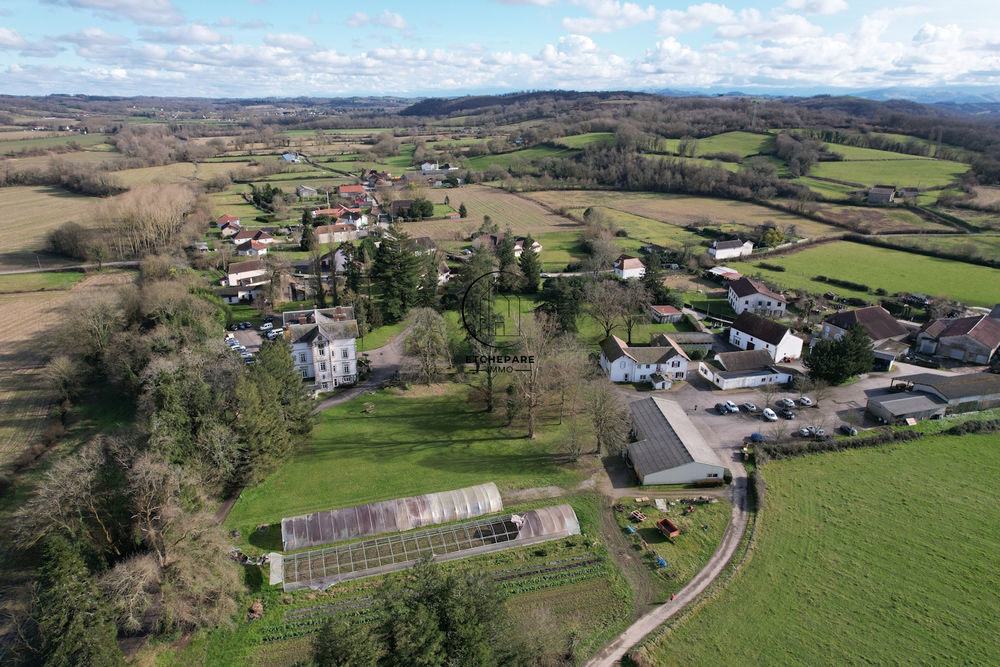 � vendre  Propri�t�/ch�teau Espiute (64390)