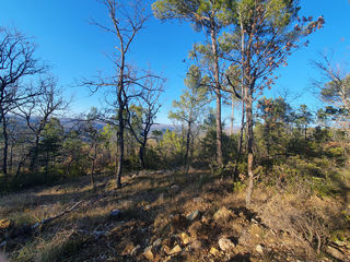  Terrain � vendre 20000 m�