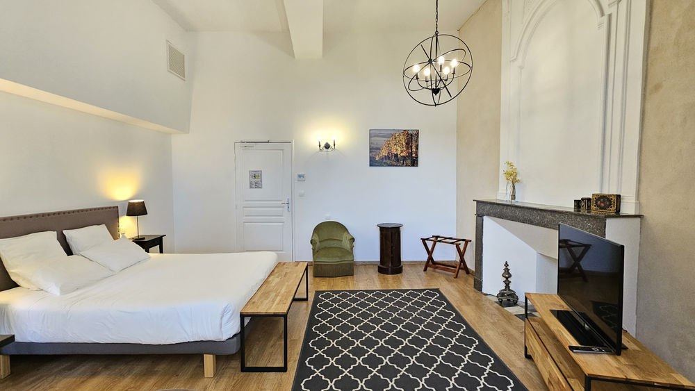 � vendre  Propri�t�/ch�teau Condom (32100)