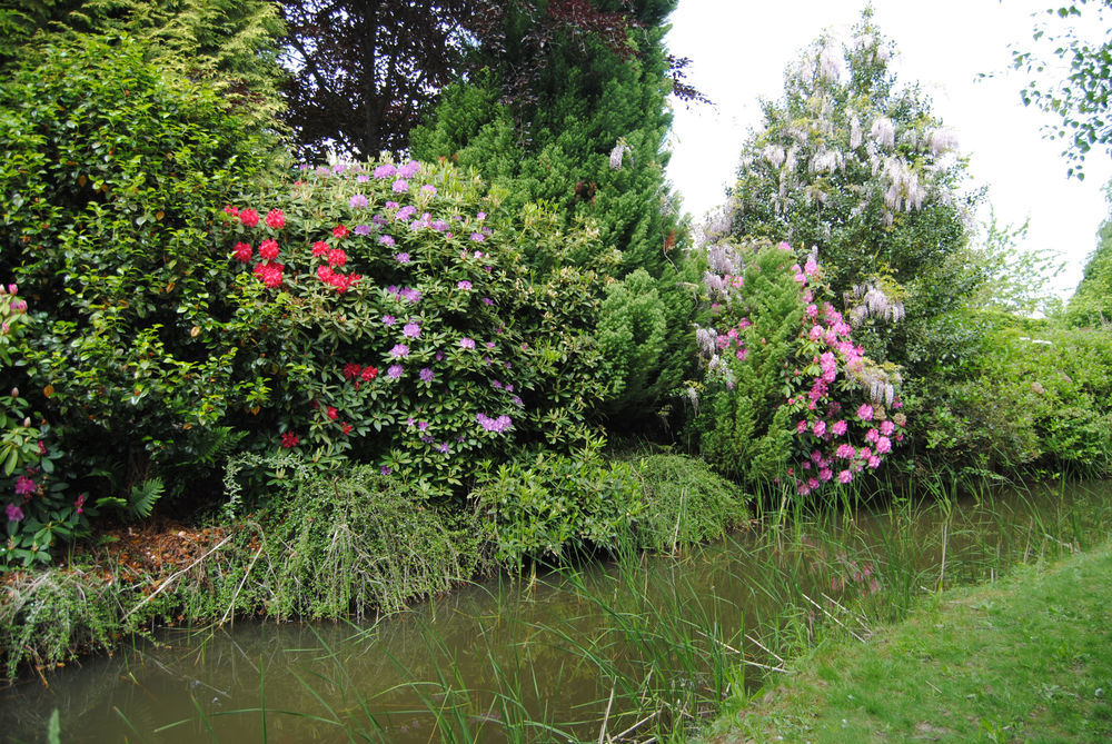 � vendre  Propri�t�/ch�teau Pleurtuit (35730)