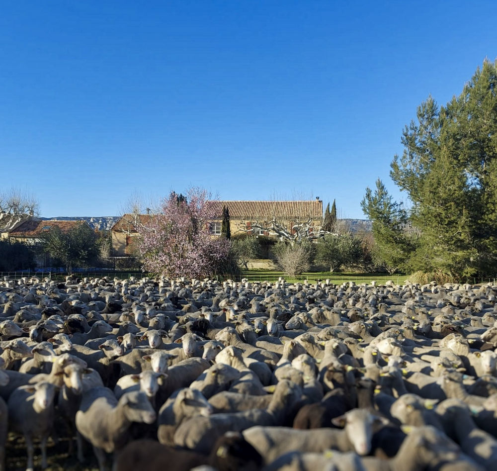 � vendre  Maison Eygui�res (13430)