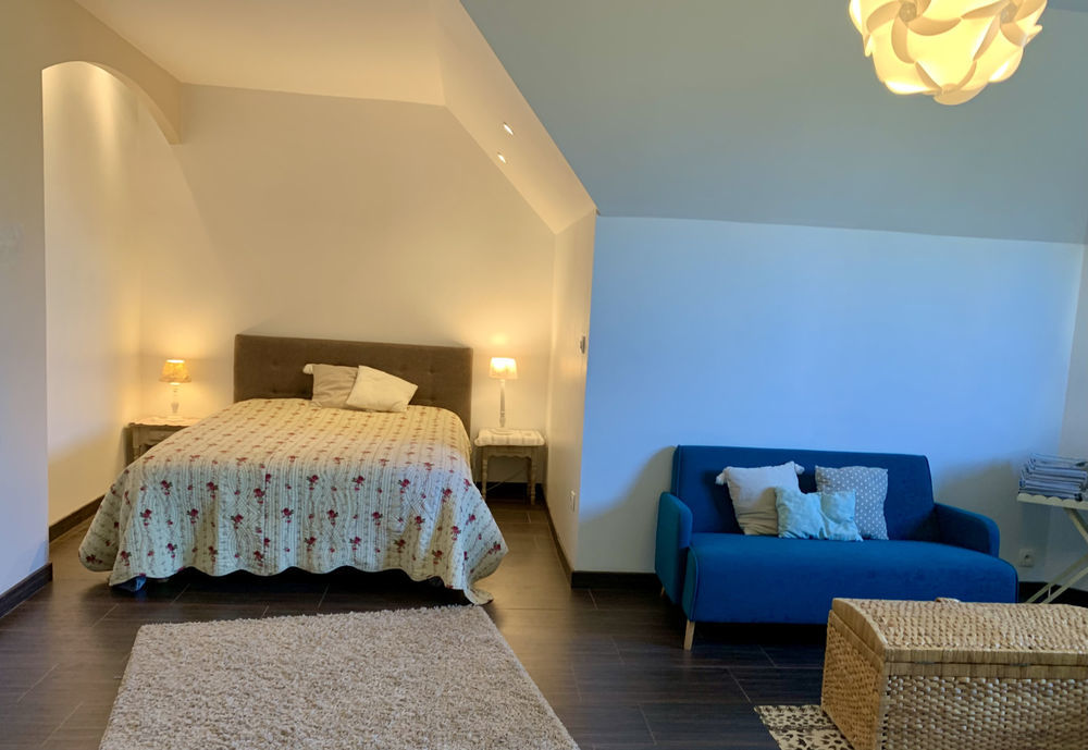 � vendre  Propri�t�/ch�teau Pleurtuit (35730)