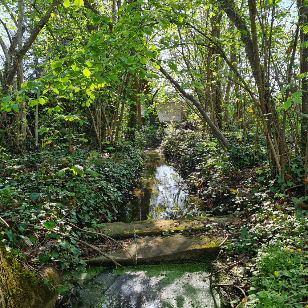 � vendre  Propri�t�/ch�teau Marcoussis (91460)