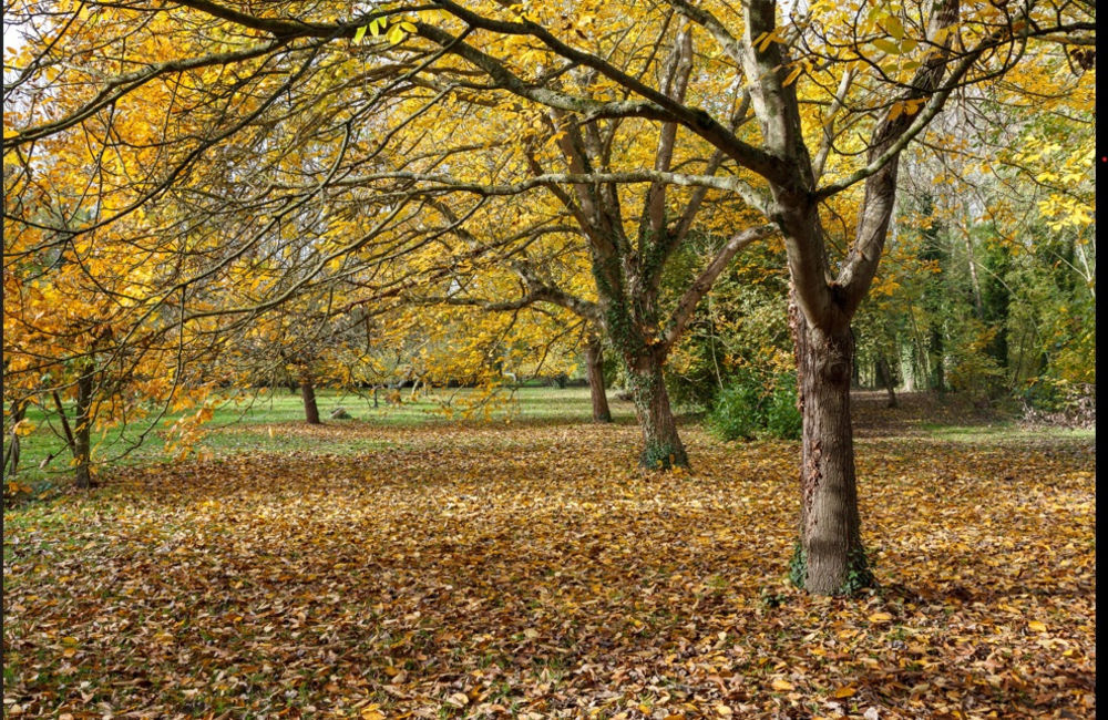 � vendre  Maison Quend (80120)