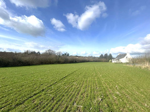   Jolie N�o-bretonne avec hangar Maison - 6 pi�ce(s) - 129 m�