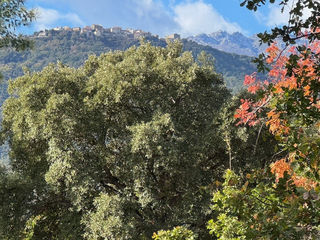  Terrain � vendre 1250 m�