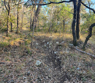  Terrain � vendre 20000 m�