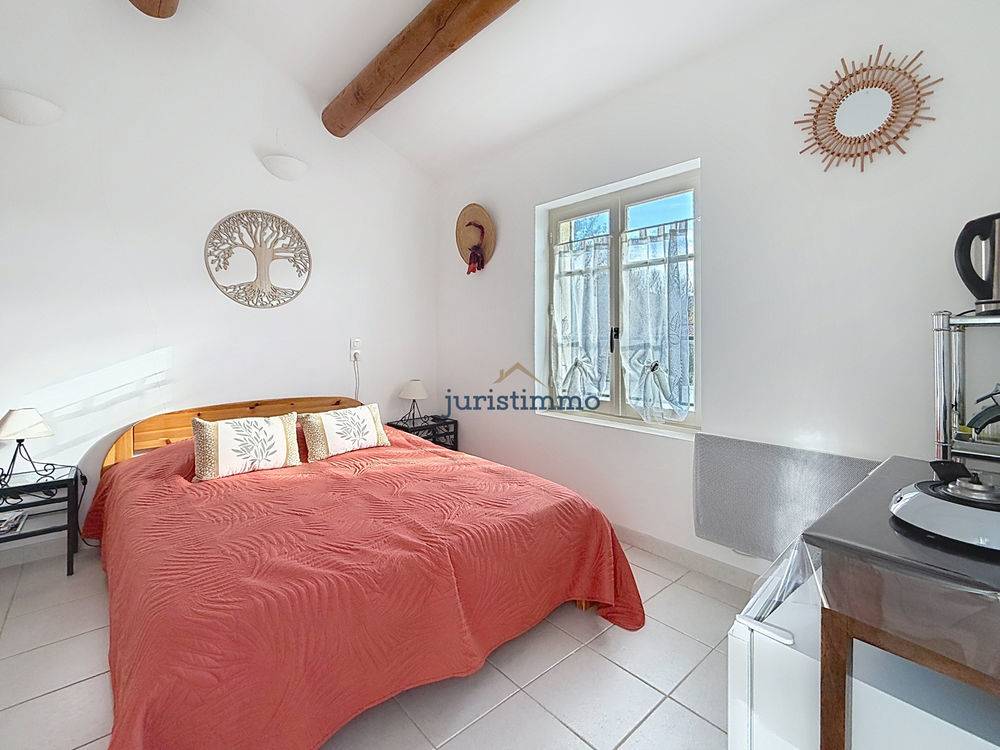 � vendre  Propri�t�/ch�teau Saint-Romain-en-Viennois (84110)