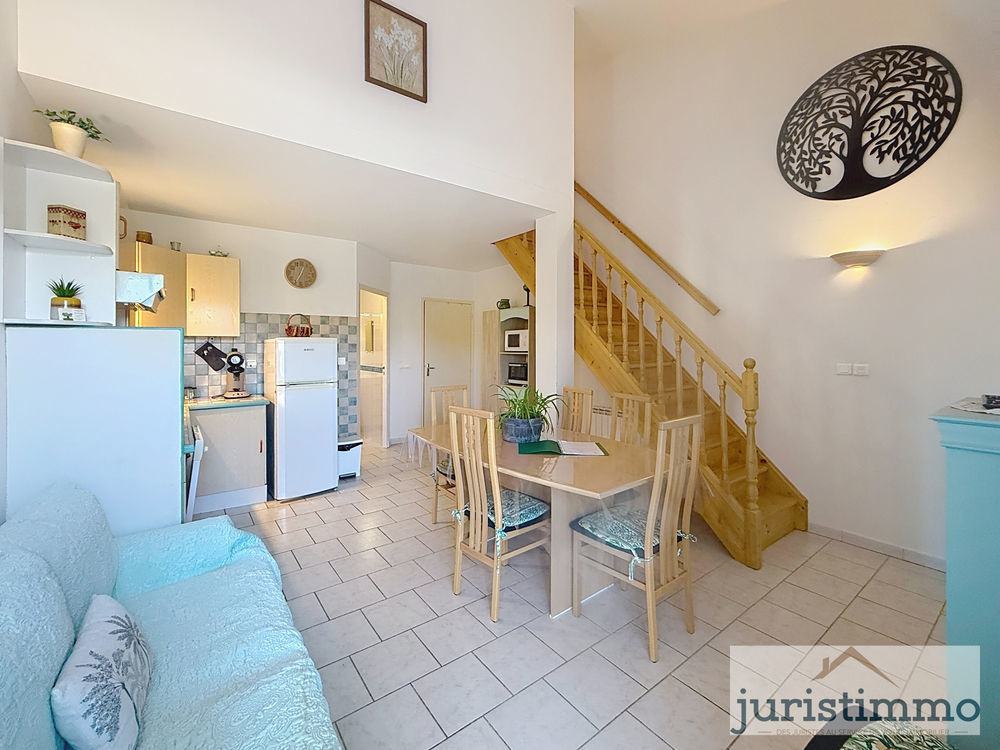 � vendre  Propri�t�/ch�teau Saint-Romain-en-Viennois (84110)