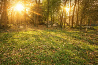  Terrain � vendre 2400 m�